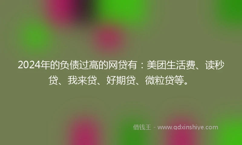 2024年的负债过高的网贷有：美团生活费、读秒贷、我来贷、好期贷、微粒贷等。