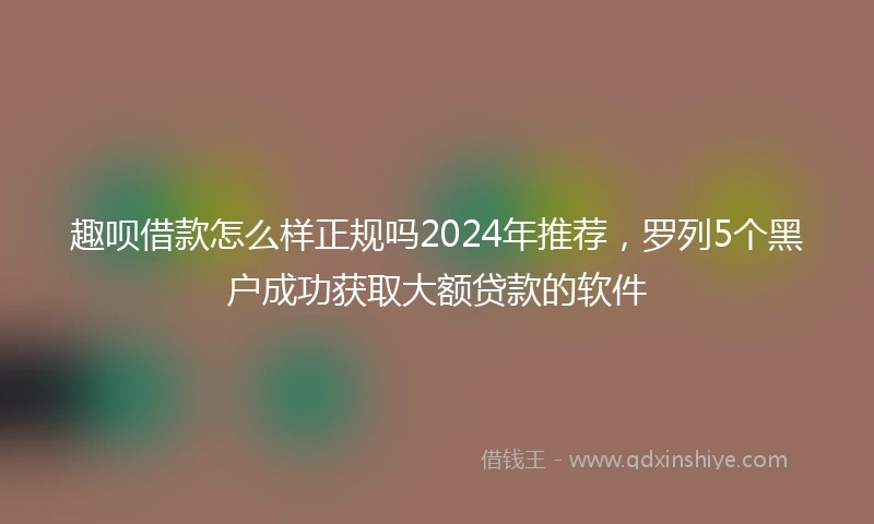 趣呗借款怎么样正规吗2024年推荐，罗列5个黑户成功获取大额贷款的软件