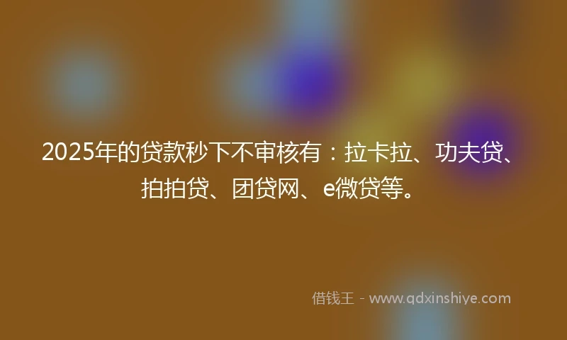 2025年的贷款秒下不审核有：拉卡拉、功夫贷、拍拍贷、团贷网、e微贷等。