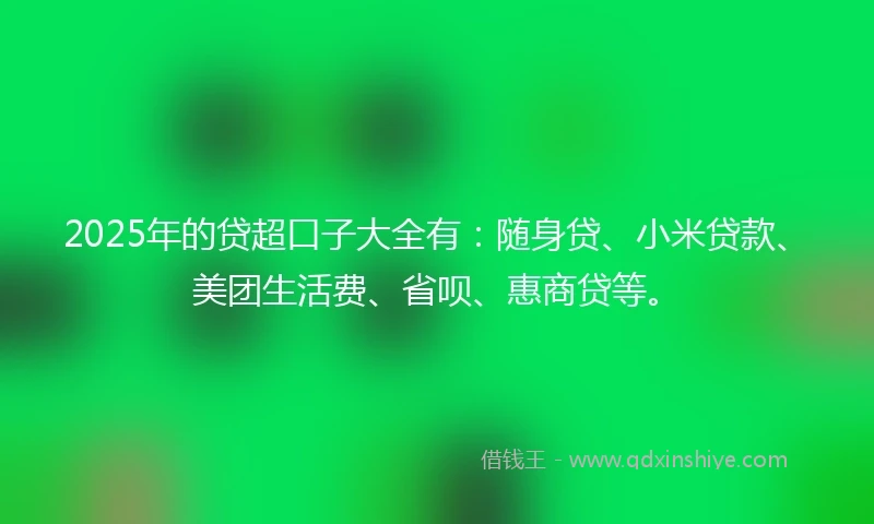 2025年的贷超口子大全有:随身贷、小米贷款、美团生活费、省呗、惠商贷等。