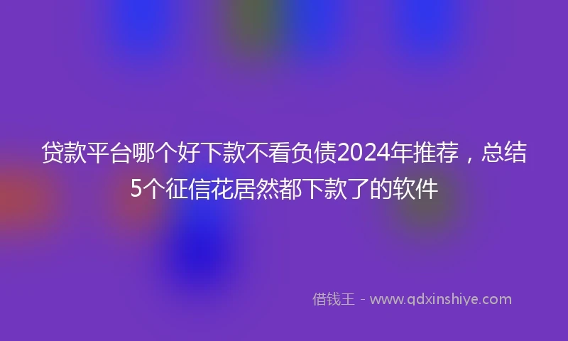 贷款平台哪个好下款不看负债2024年推荐，总结5个征信花居然都下款了的软件