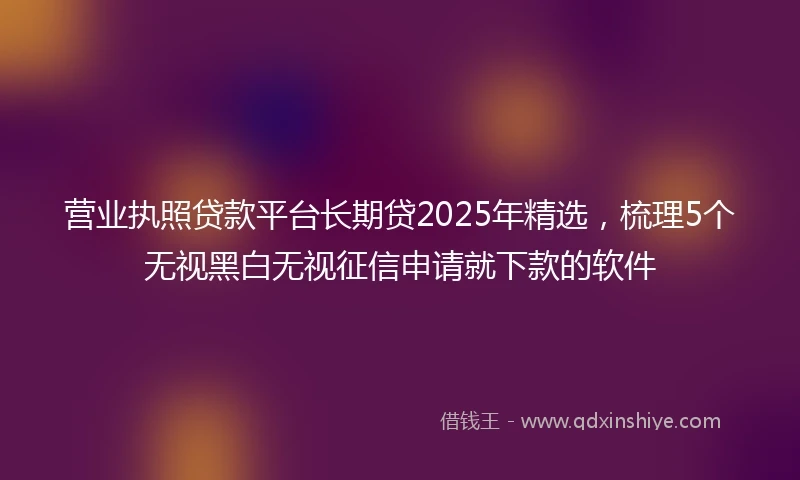 营业执照贷款平台长期贷2025年精选，梳理5个无视黑白无视征信申请就下款的软件