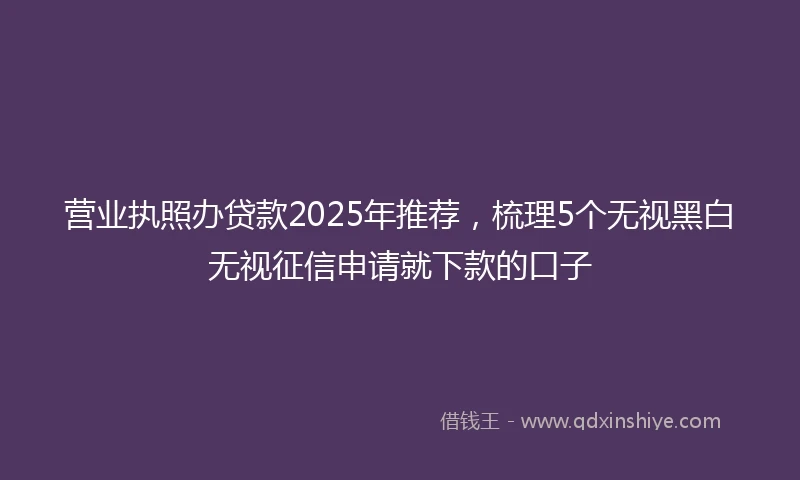 营业执照办贷款2025年推荐，梳理5个无视黑白无视征信申请就下款的口子