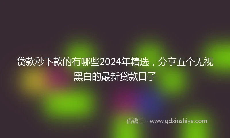 贷款秒下款的有哪些2024年精选，分享五个无视黑白的最新贷款口子
