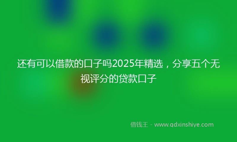 还有可以借款的口子吗2025年精选，分享五个无视评分的贷款口子