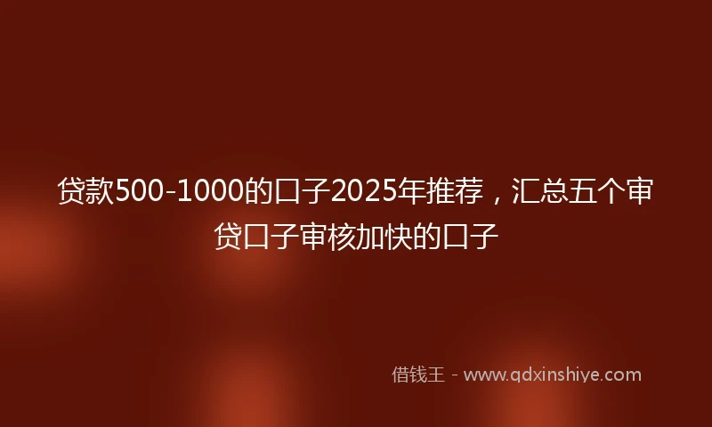 贷款500-1000的口子2025年推荐，汇总五个审贷口子审核加快的口子