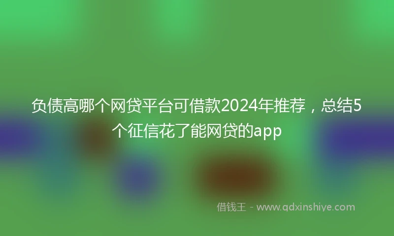 负债高哪个网贷平台可借款2024年推荐，总结5个征信花了能网贷的app