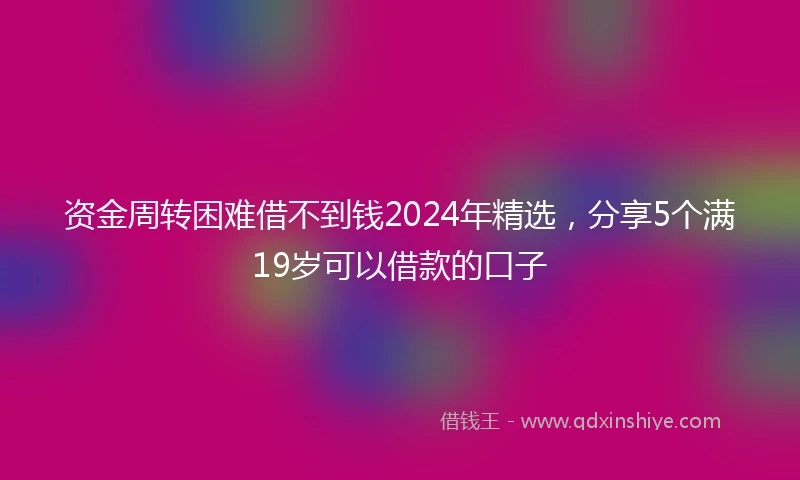 资金周转困难借不到钱2024年精选，分享5个满19岁可以借款的口子