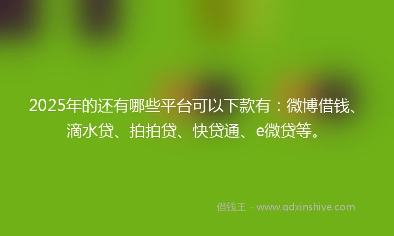 2025年的还有哪些平台可以下款有：微博借钱、滴水贷、拍拍贷、快贷通、e微贷等。