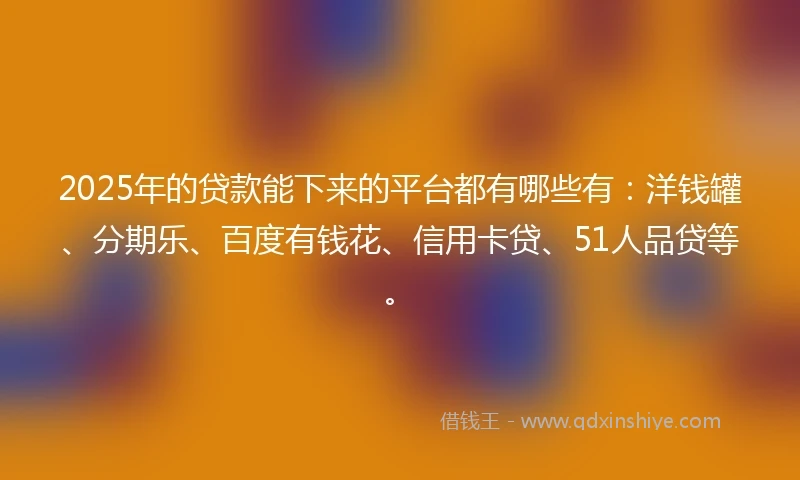 2025年的贷款能下来的平台都有哪些有：洋钱罐、分期乐、百度有钱花、信用卡贷、51人品贷等。