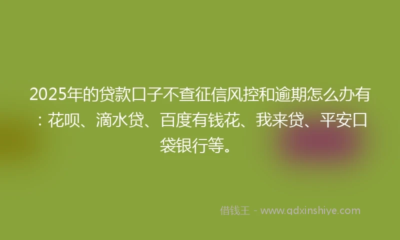 2025年的贷款口子不查征信风控和逾期怎么办有：花呗、滴水贷、百度有钱花、我来贷、平安口袋银行等。