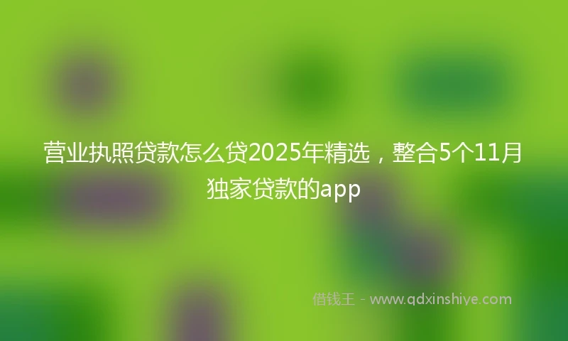 营业执照贷款怎么贷2025年精选，整合5个11月独家贷款的app