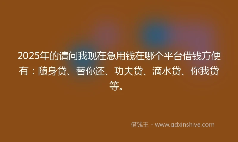 2025年的请问我现在急用钱在哪个平台借钱方便有：随身贷、替你还、功夫贷、滴水贷、你我贷等。
