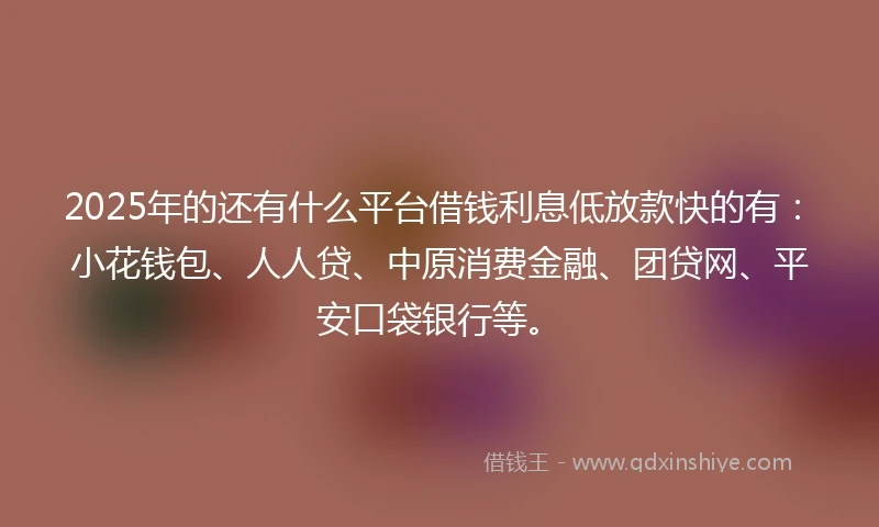 2025年的还有什么平台借钱利息低放款快的有：小花钱包、人人贷、中原消费金融、团贷网、平安口袋银行等。
