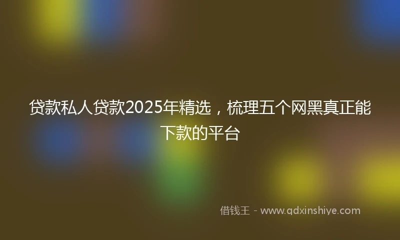 贷款私人贷款2025年精选，梳理五个网黑真正能下款的平台