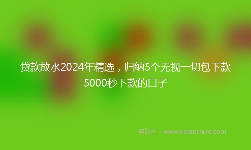 贷款放水2024年精选，归纳5个无视一切包下款5000秒下款的口子
