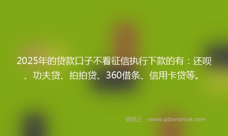 2025年的贷款口子不看征信执行下款的有：还呗、功夫贷、拍拍贷、360借条、信用卡贷等。