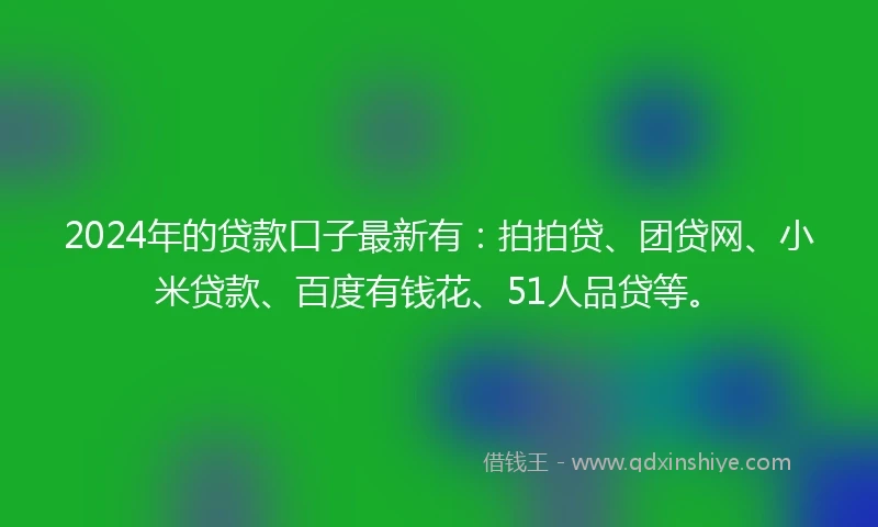 2024年的贷款口子最新有：拍拍贷、团贷网、小米贷款、百度有钱花、51人品贷等。