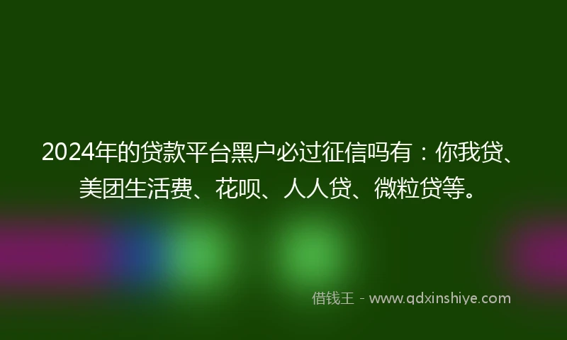 2024年的贷款平台黑户必过征信吗有：你我贷、美团生活费、花呗、人人贷、微粒贷等。
