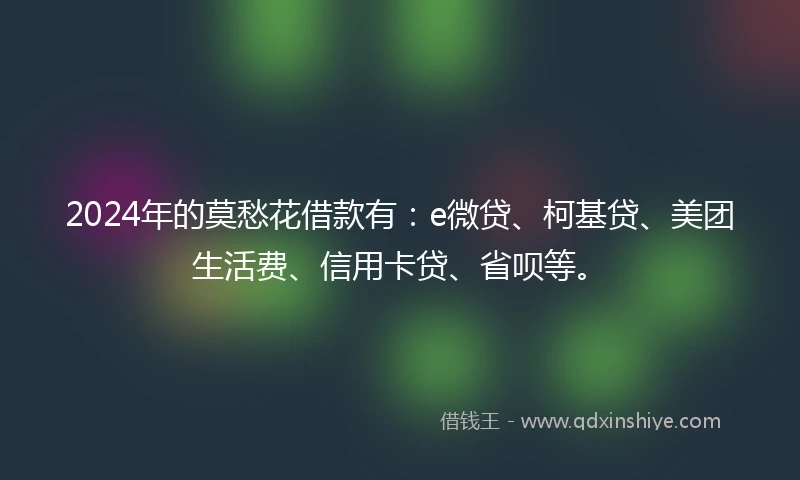 2024年的莫愁花借款有：e微贷、柯基贷、美团生活费、信用卡贷、省呗等。