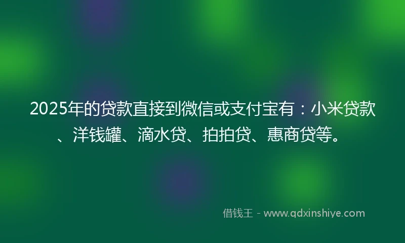 2025年的贷款直接到微信或支付宝有：小米贷款、洋钱罐、滴水贷、拍拍贷、惠商贷等。