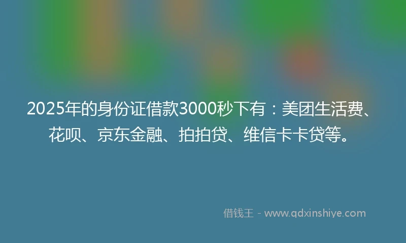 2025年的身份证借款3000秒下有：美团生活费、花呗、京东金融、拍拍贷、维信卡卡贷等。