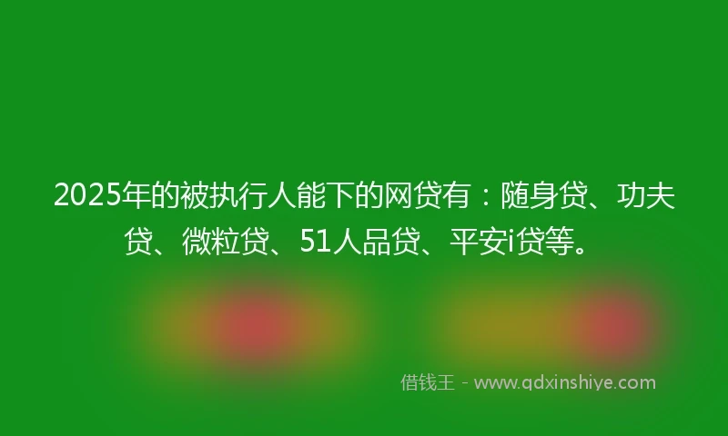 2025年的被执行人能下的网贷有：随身贷、功夫贷、微粒贷、51人品贷、平安i贷等。