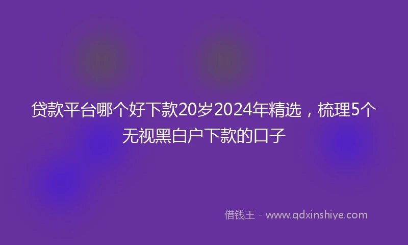 贷款平台哪个好下款20岁2024年精选，梳理5个无视黑白户下款的口子