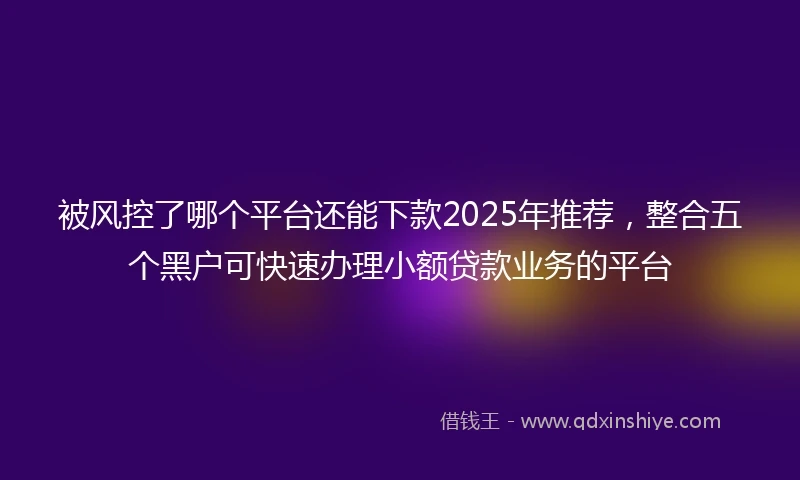 被风控了哪个平台还能下款2025年推荐，整合五个黑户可快速办理小额贷款业务的平台
