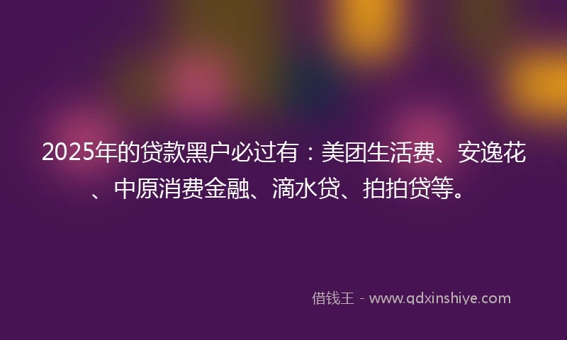2025年的贷款黑户必过有：美团生活费、安逸花、中原消费金融、滴水贷、拍拍贷等。