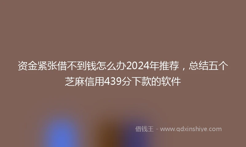 资金紧张借不到钱怎么办2024年推荐，总结五个芝麻信用439分下款的软件