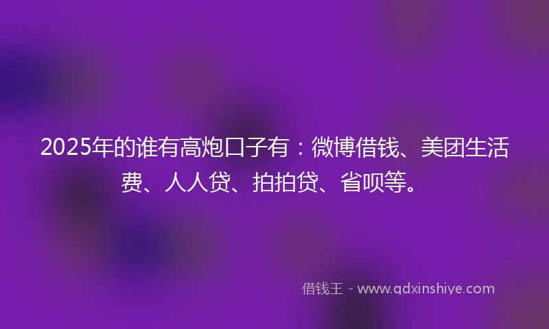 2025年的谁有高炮口子有：微博借钱、美团生活费、人人贷、拍拍贷、省呗等。