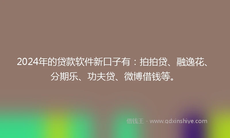 2024年的贷款软件新口子有：拍拍贷、融逸花、分期乐、功夫贷、微博借钱等。