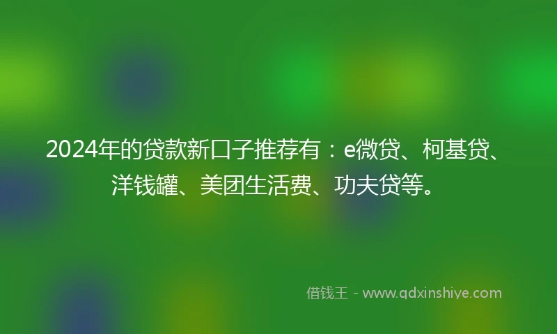 2024年的贷款新口子推荐有：e微贷、柯基贷、洋钱罐、美团生活费、功夫贷等。