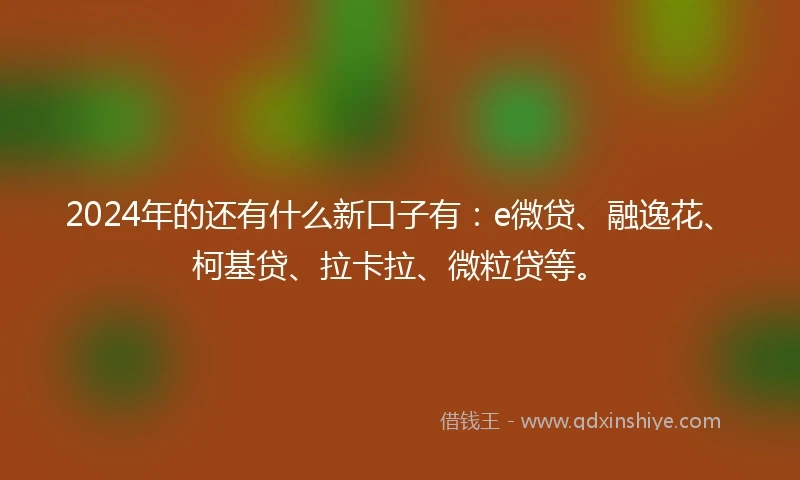 2024年的还有什么新口子有：e微贷、融逸花、柯基贷、拉卡拉、微粒贷等。