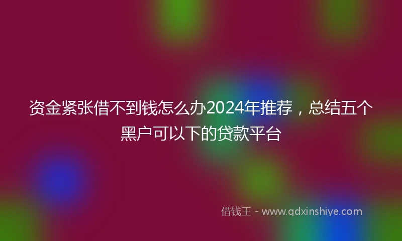 资金紧张借不到钱怎么办2024年推荐,总结五个黑户可以下的贷款平台