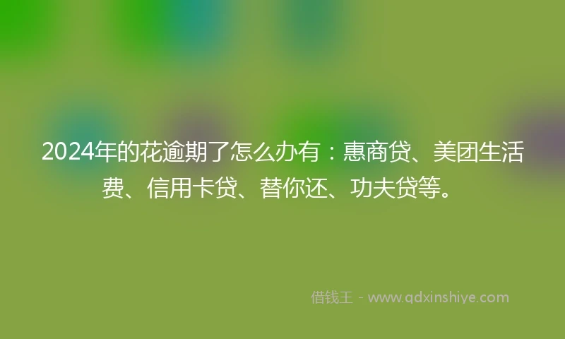2024年的花逾期了怎么办有：惠商贷、美团生活费、信用卡贷、替你还、功夫贷等。