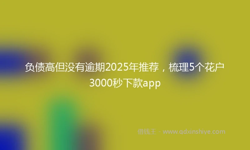 负债高但没有逾期2025年推荐，梳理5个花户3000秒下款app