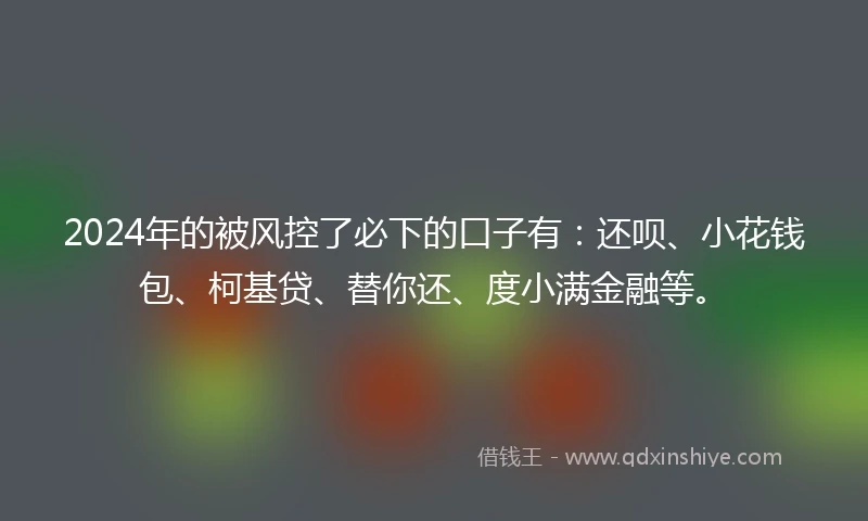 2024年的被风控了必下的口子有：还呗、小花钱包、柯基贷、替你还、度小满金融等。
