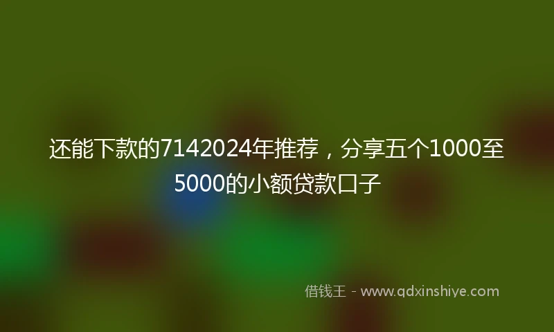 还能下款的7142024年推荐，分享五个1000至5000的小额贷款口子