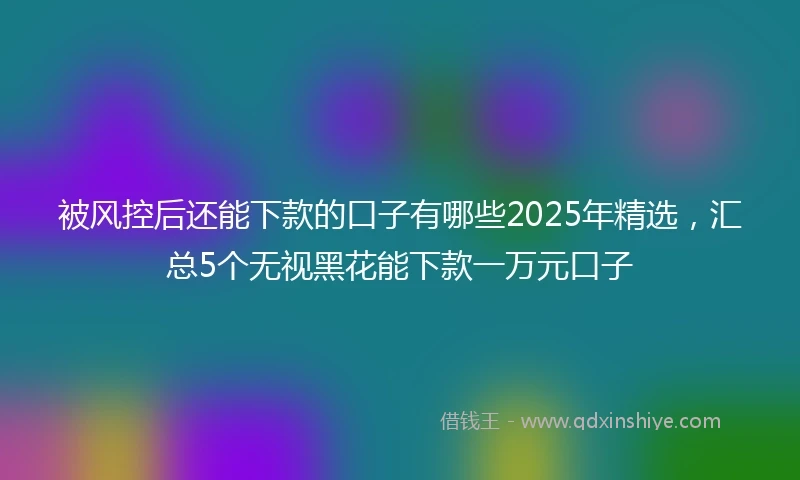 被风控后还能下款的口子有哪些2025年精选，汇总5个无视黑花能下款一万元口子