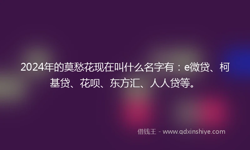 2024年的莫愁花现在叫什么名字有：e微贷、柯基贷、花呗、东方汇、人人贷等。