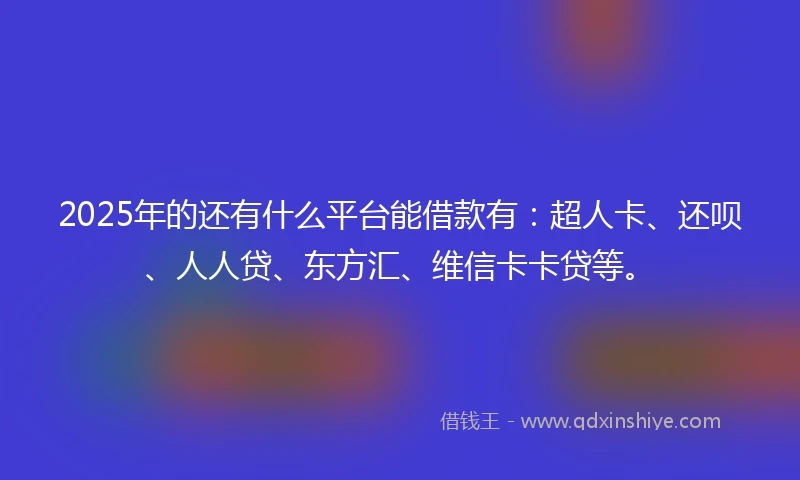 2025年的还有什么平台能借款有：超人卡、还呗、人人贷、东方汇、维信卡卡贷等。