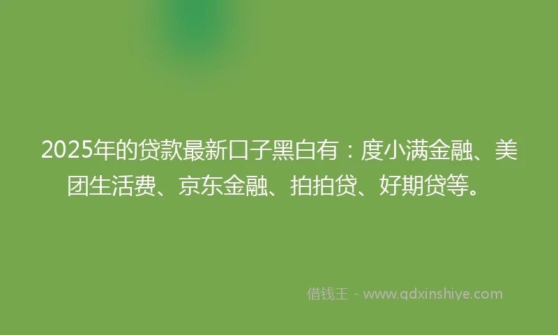 2025年的贷款最新口子黑白有：度小满金融、美团生活费、京东金融、拍拍贷、好期贷等。