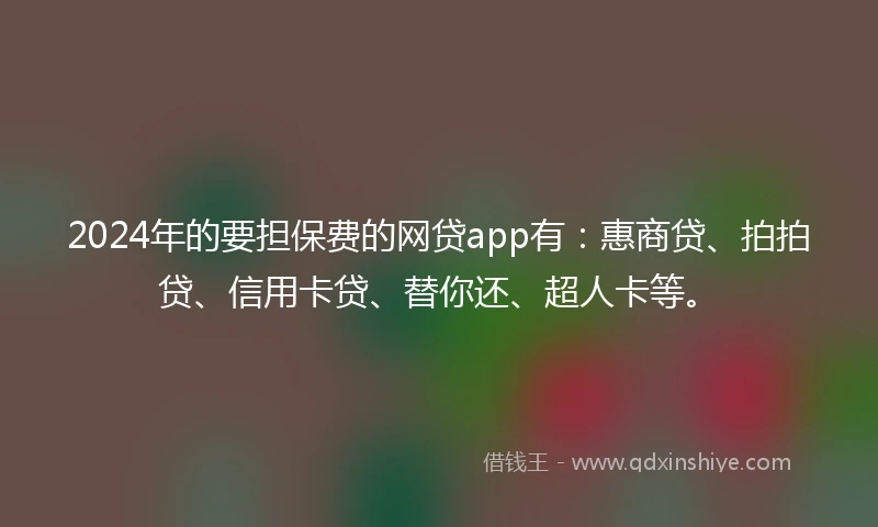 2024年的要担保费的网贷app有：惠商贷、拍拍贷、信用卡贷、替你还、超人卡等。
