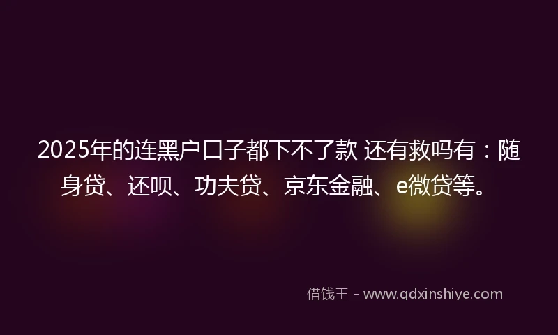 2025年的连黑户口子都下不了款 还有救吗有：随身贷、还呗、功夫贷、京东金融、e微贷等。