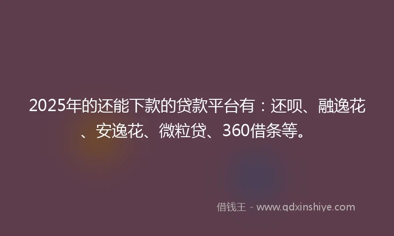 2025年的还能下款的贷款平台有：还呗、融逸花、安逸花、微粒贷、360借条等。