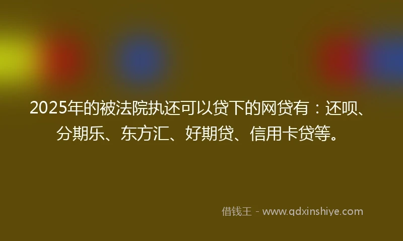 2025年的被法院执还可以贷下的网贷有：还呗、分期乐、东方汇、好期贷、信用卡贷等。