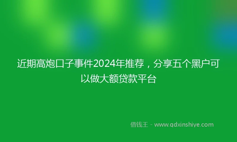 近期高炮口子事件2024年推荐，分享五个黑户可以做大额贷款平台