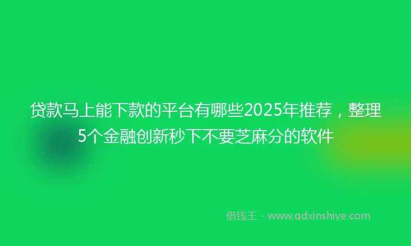 贷款马上能下款的平台有哪些2025年推荐,整理5个金融创新秒下不要芝麻分的软件